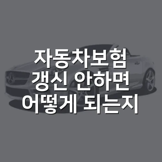 자동차보험 갱신 안하면 어떻게 되는지 확인하는 방법 - 요약