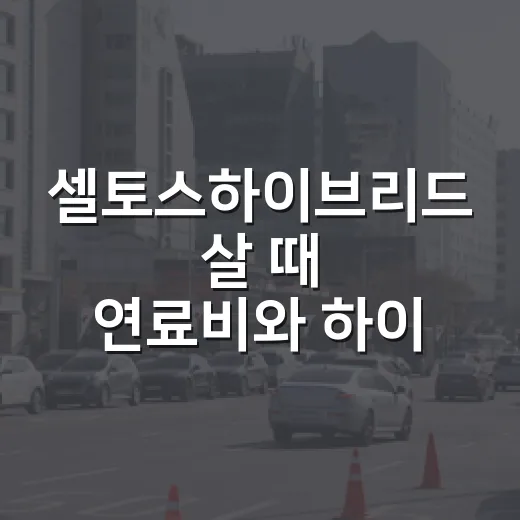 셀토스하이브리드 살 때 연료비와 하이패스 따지는 방법 - 요약