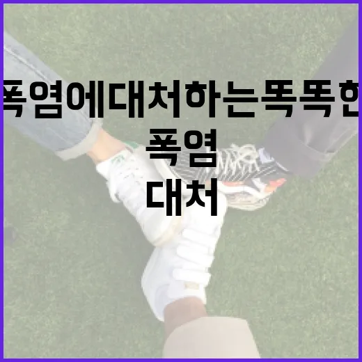 유럽 폭염에 대처하는 똑똑한 방법 - 요약