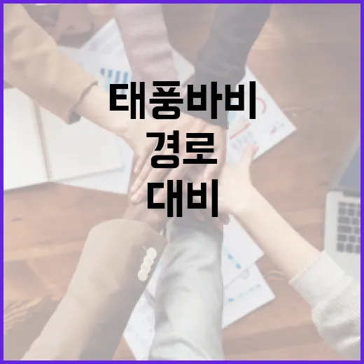 태풍 바비 경로를 살펴보는 방법과 대비 팁 - 요약