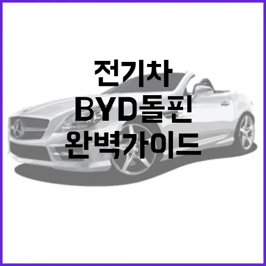 BYD 돌핀: 전기차 초심자를 위한 완벽 가이드 - 요약