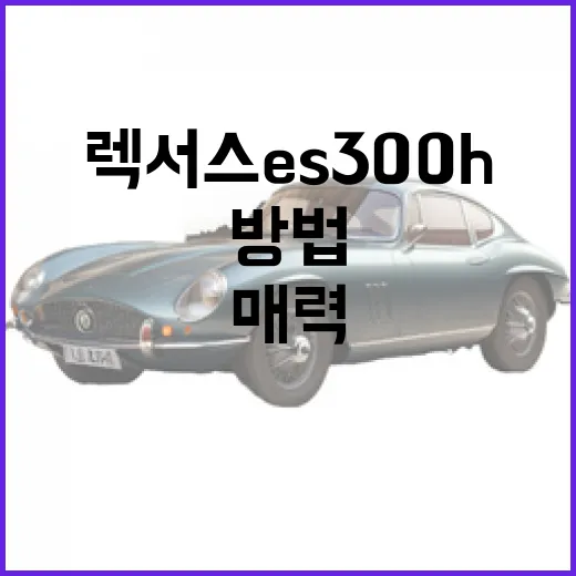 렉서스 ES300h, 그 매력에 빠지는 방법 - 요약