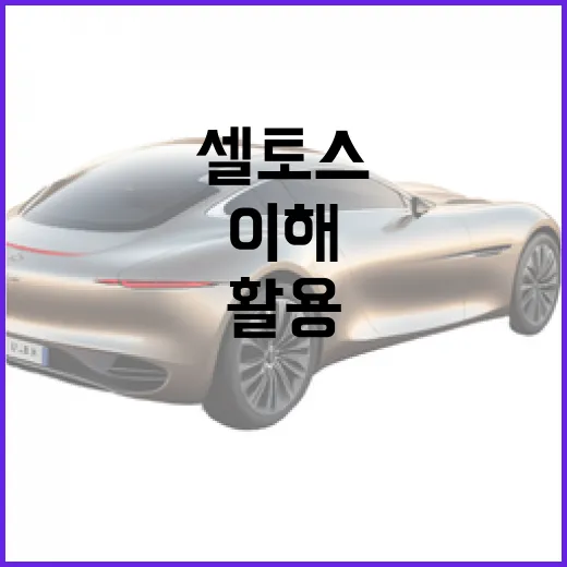 셀토스를 제대로 이해하고 활용하는 방법 - 요약