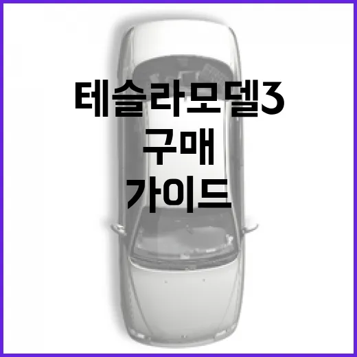 테슬라 모델3, 초보자를 위한 구매 가이드 - 요약