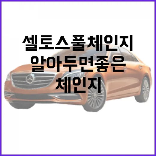 셀토스 풀체인지: 알아두면 좋은 변화 포인트 - 요약