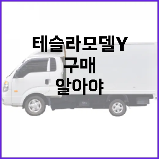 테슬라 모델Y를 알아야 하는 이유와 구매 팁 - 요약