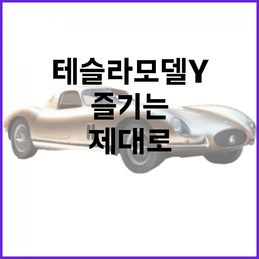 테슬라 모델Y를 제대로 즐기는 방법 - 요약