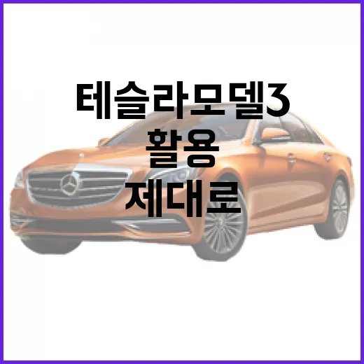 테슬라 모델3를 제대로 활용하는 방법 - 요약