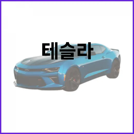 테슬라 모델 Y: 알아두면 좋은 정보와 팁 - 요약