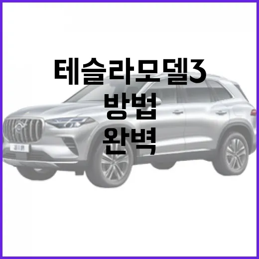 테슬라 모델3를 완벽하게 활용하는 방법 - 요약