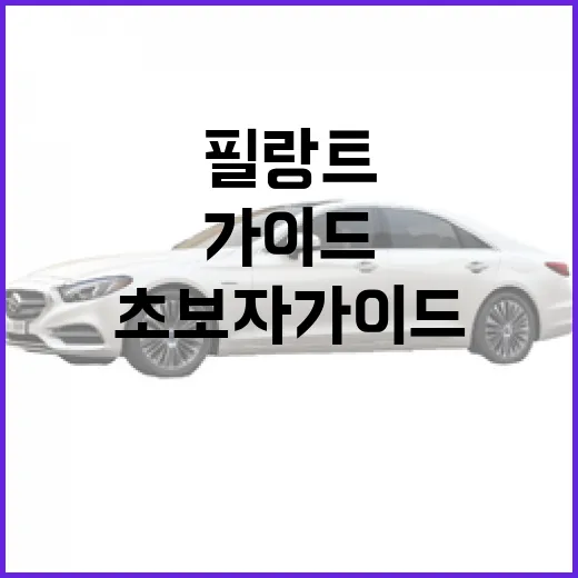 필랑트, 어떻게 활용할까? 초보자 가이드 - 요약