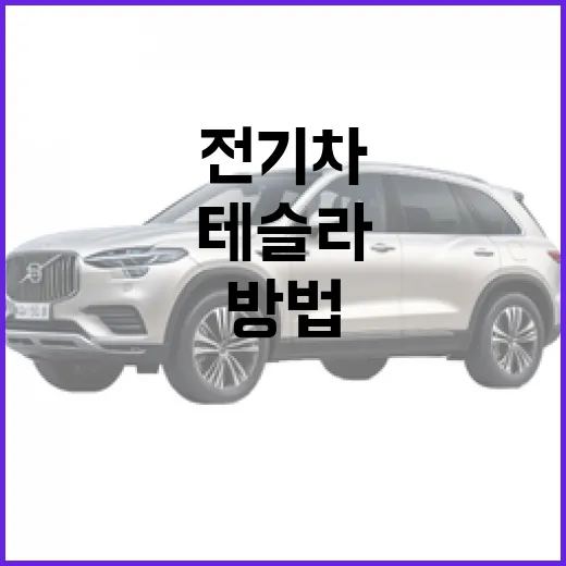 테슬라를 처음 시작하는 방법: 전기차 입문자를 위한 안내서 - 요약