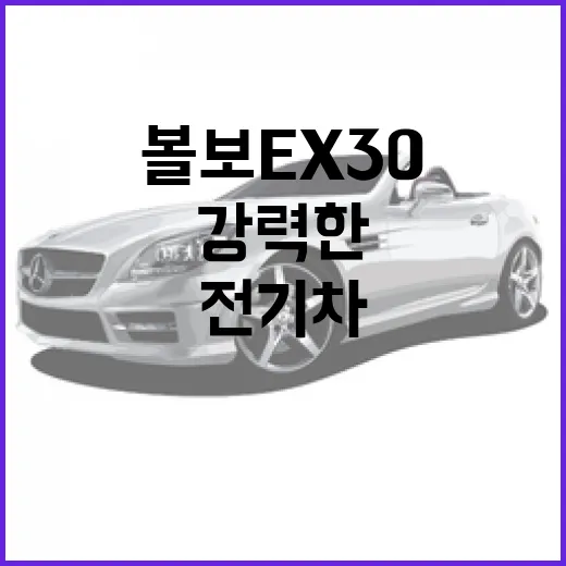 볼보 EX30: 작지만 강력한 전기차의 모든 것 - 요약
