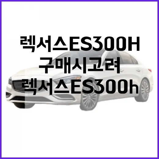 렉서스 ES300h의 매력과 구매 시 고려할 점 - 요약