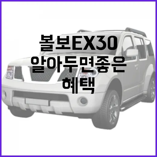 볼보 EX30, 알아두면 좋은 특징과 혜택 - 요약