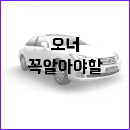 테슬라 오너라면 꼭 알아야 할 팁과 정보 - 요약