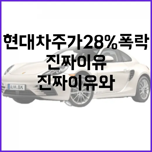현대차 주가 28% 폭락, 진짜 이유와 앞으로의 전망 - 요약