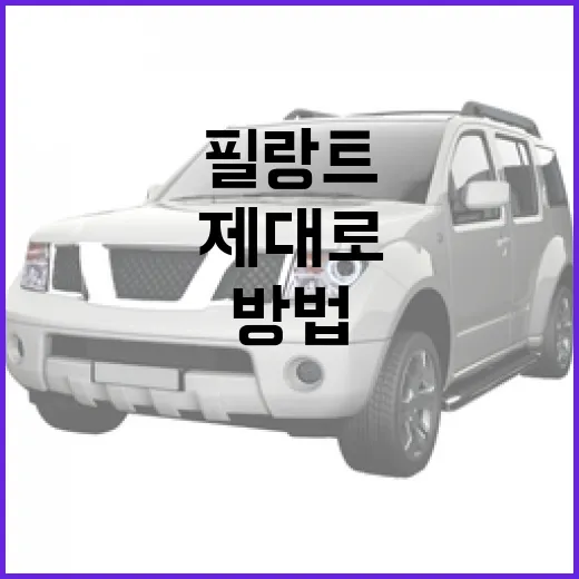 필랑트 제대로 활용하는 방법 - 요약