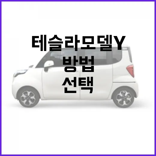 테슬라 모델Y를 선택하는 방법, 알고 계셨나요? - 요약