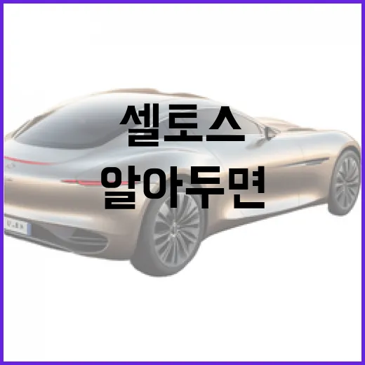 셀토스 선택 시 알아두면 좋은 팁 - 요약