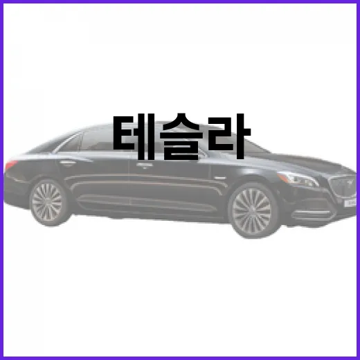 테슬라 모델Y, 알아두면 좋은 정보들 - 요약