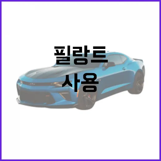 필랑트, 성공적으로 사용하기 위한 팁 - 요약