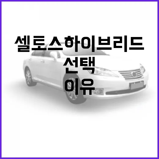 셀토스 하이브리드, 이렇게 선택하는 이유 - 요약