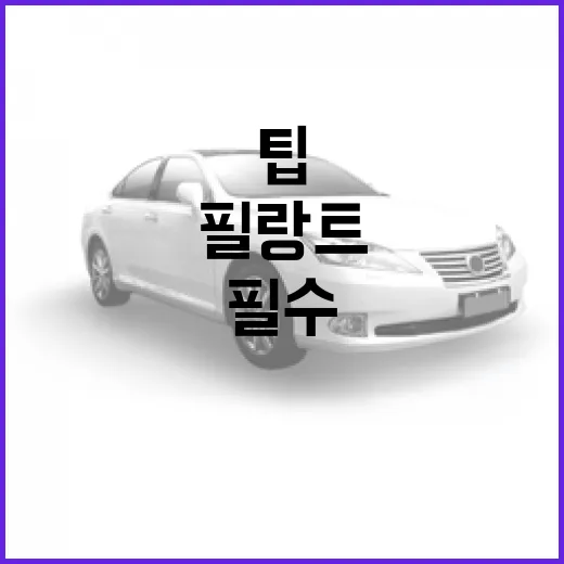 필랑트 시작하기: 필수 아이템과 팁 - 요약