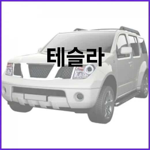 테슬라 모델 Y: 알아두면 좋은 정보와 팁 - 요약