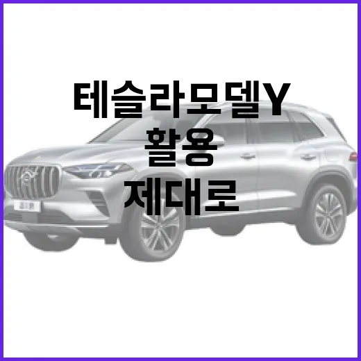테슬라 모델Y를 제대로 활용하는 방법 - 요약