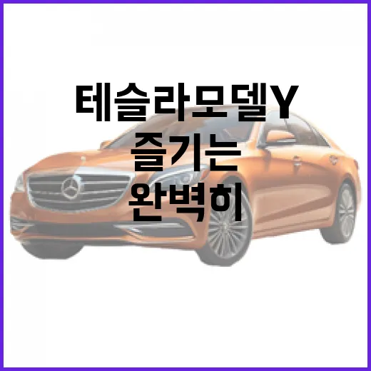테슬라 모델Y를 완벽히 즐기는 방법 - 요약
