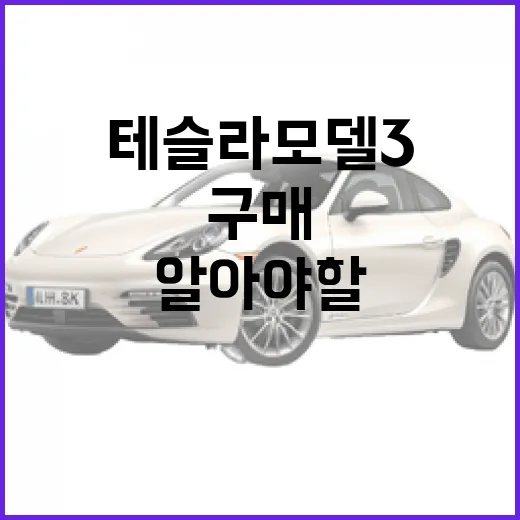 테슬라 모델3를 처음 구매할 때 알아야 할 것들 - 요약