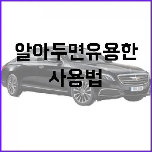 GV90 사용법: 알아두면 유용한 팁 - 요약