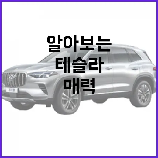 테슬라의 매력을 알아보는 방법 - 요약