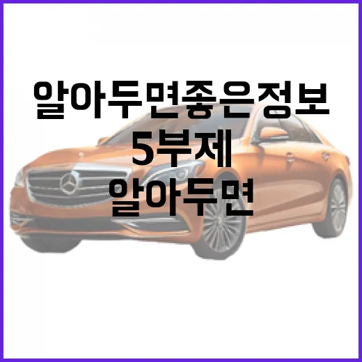 차량 5부제란? 알아두면 좋은 정보! - 요약