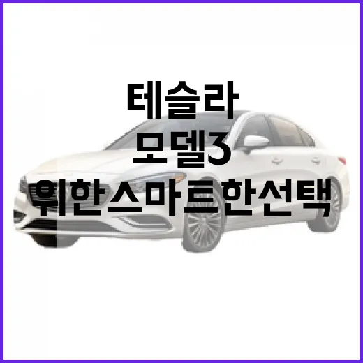 테슬라 모델3, 초보자를 위한 스마트한 선택 방법 - 요약