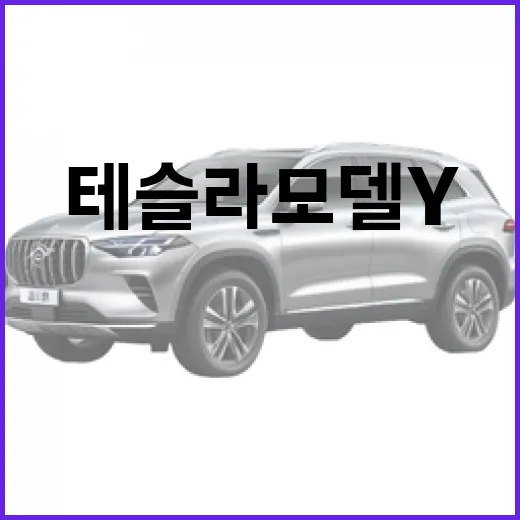 테슬라 모델 Y: 일상에서의 경험과 팁 - 요약