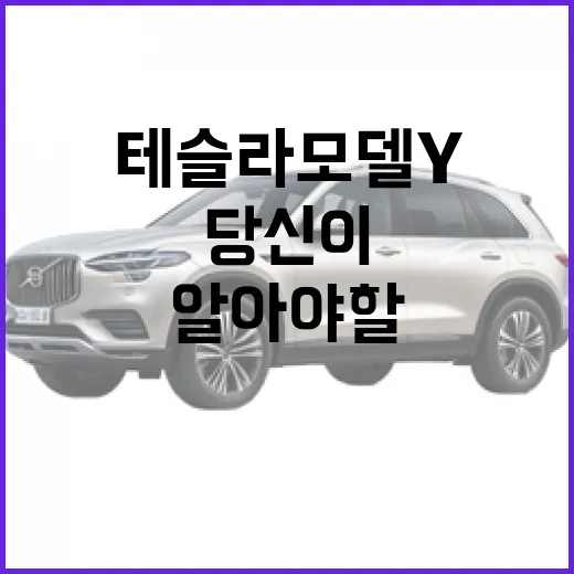 테슬라 모델 Y, 당신이 알아야 할 모든 것 - 요약