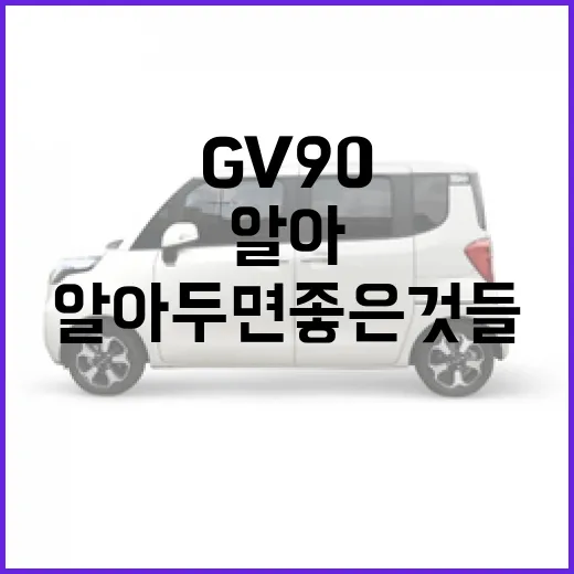 GV90: 알아두면 좋은 것들 - 요약