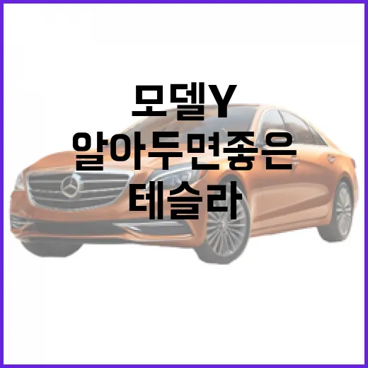 테슬라 모델Y, 알아두면 좋은 특징과 사용 팁 - 요약