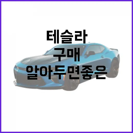 테슬라를 처음 구매할 때 알아두면 좋은 것들 - 요약