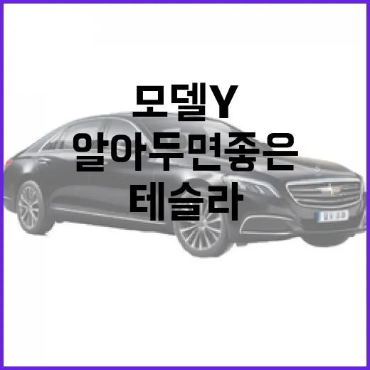 테슬라 모델Y, 알아두면 좋은 팁과 정보 - 요약