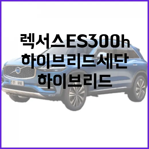 렉서스 ES300h: 매력적인 하이브리드 세단을 선택하는 방법 - 요약