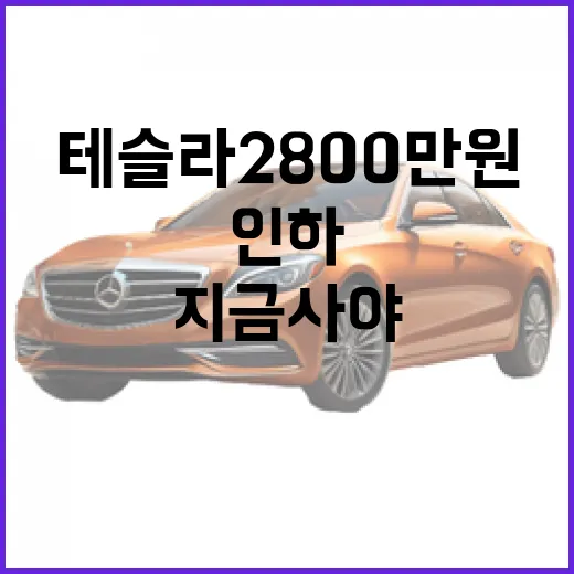 테슬라 2800만 원 가격 인하, 지금 사야 할 때? - 요약