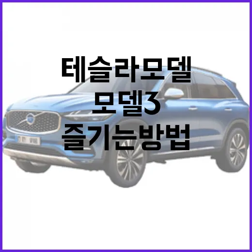 테슬라 모델3를 제대로 즐기는 방법 - 요약