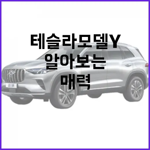 테슬라 모델Y의 매력을 알아보는 방법 - 요약