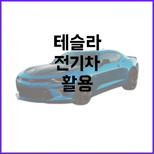 테슬라 전기차를 제대로 활용하는 방법 - 요약
