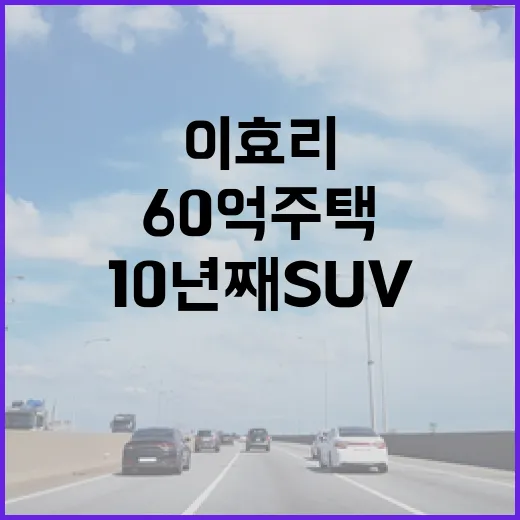 이효리가 60억 주택에 살면서도 10년째 SUV를 고집하는 이유 - 요약