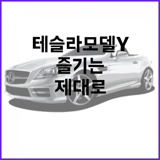 테슬라 모델Y를 제대로 즐기는 방법 - 요약