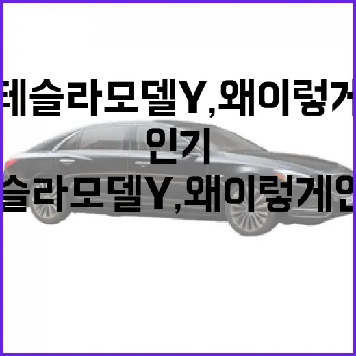 테슬라 모델 Y, 왜 이렇게 인기 있을까? - 요약